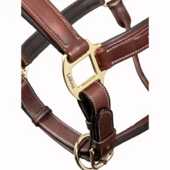 LeMieux Stitched Anatomical Leather Halter -Equestrian Equipment Store it00882 c1109 alt3