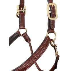 LeMieux Stitched Anatomical Leather Halter -Equestrian Equipment Store it00882 c1109 alt4