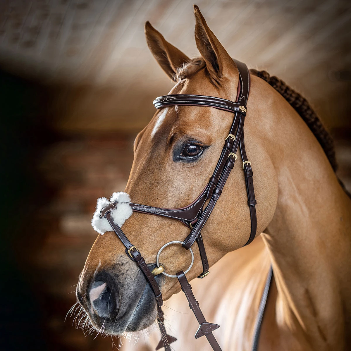 LeMieux Grackle Figure-8 Bridle 2 LeMieux Grackle Figure-8 Bridle - Image 2