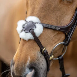 LeMieux Grackle Figure-8 Bridle 11 LeMieux Grackle Figure-8 Bridle -Equestrian Equipment Store it02644 1109 alt2