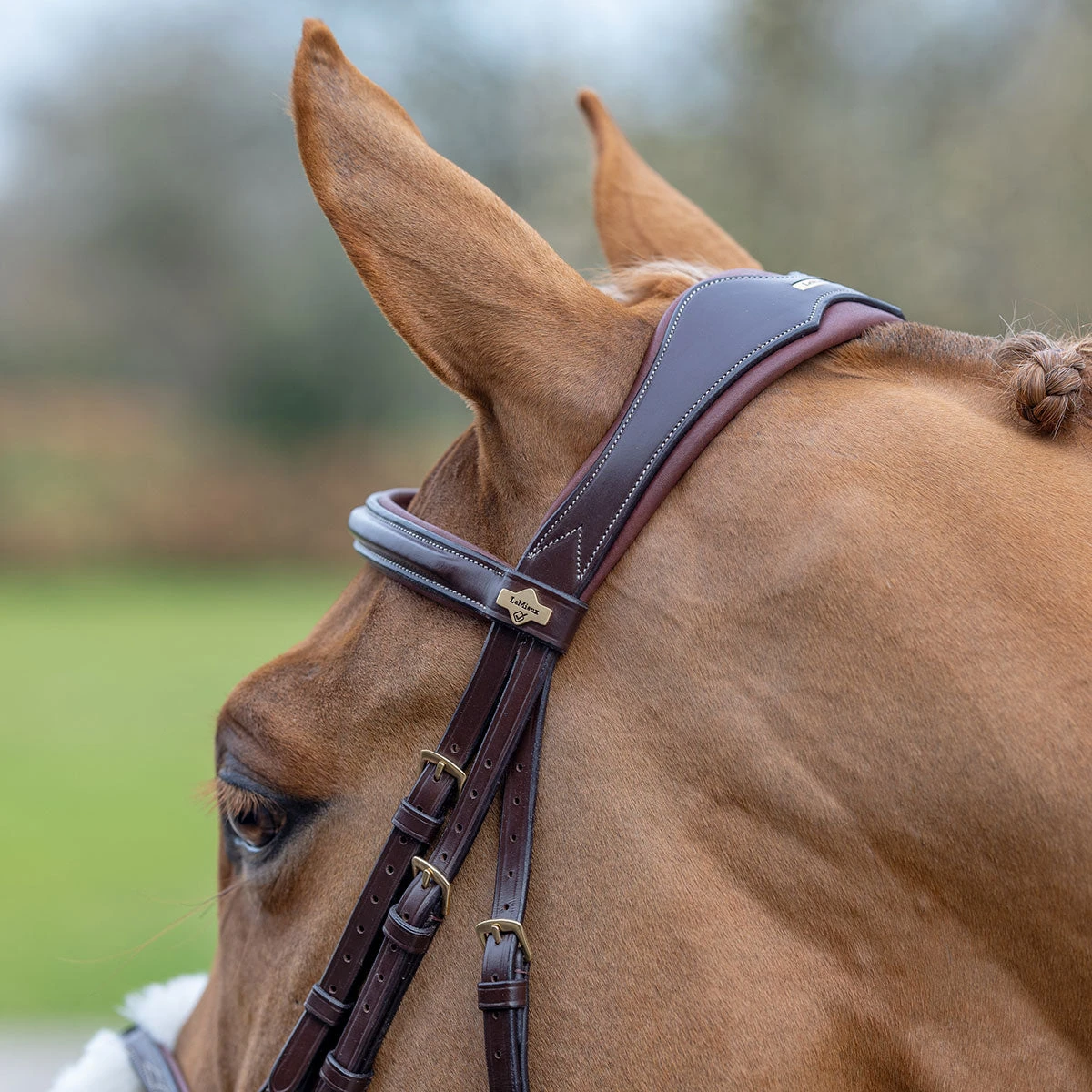 LeMieux Grackle Figure-8 Bridle 5 LeMieux Grackle Figure-8 Bridle - Image 5