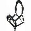 LeMieux ProSafe Headcollar