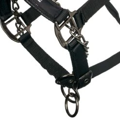 LeMieux ProSafe Headcollar 8 LeMieux ProSafe Headcollar -Equestrian Equipment Store it0323 c1105 alt2