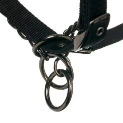 LeMieux ProSafe Headcollar 9 LeMieux ProSafe Headcollar -Equestrian Equipment Store it0323 c1105 alt3
