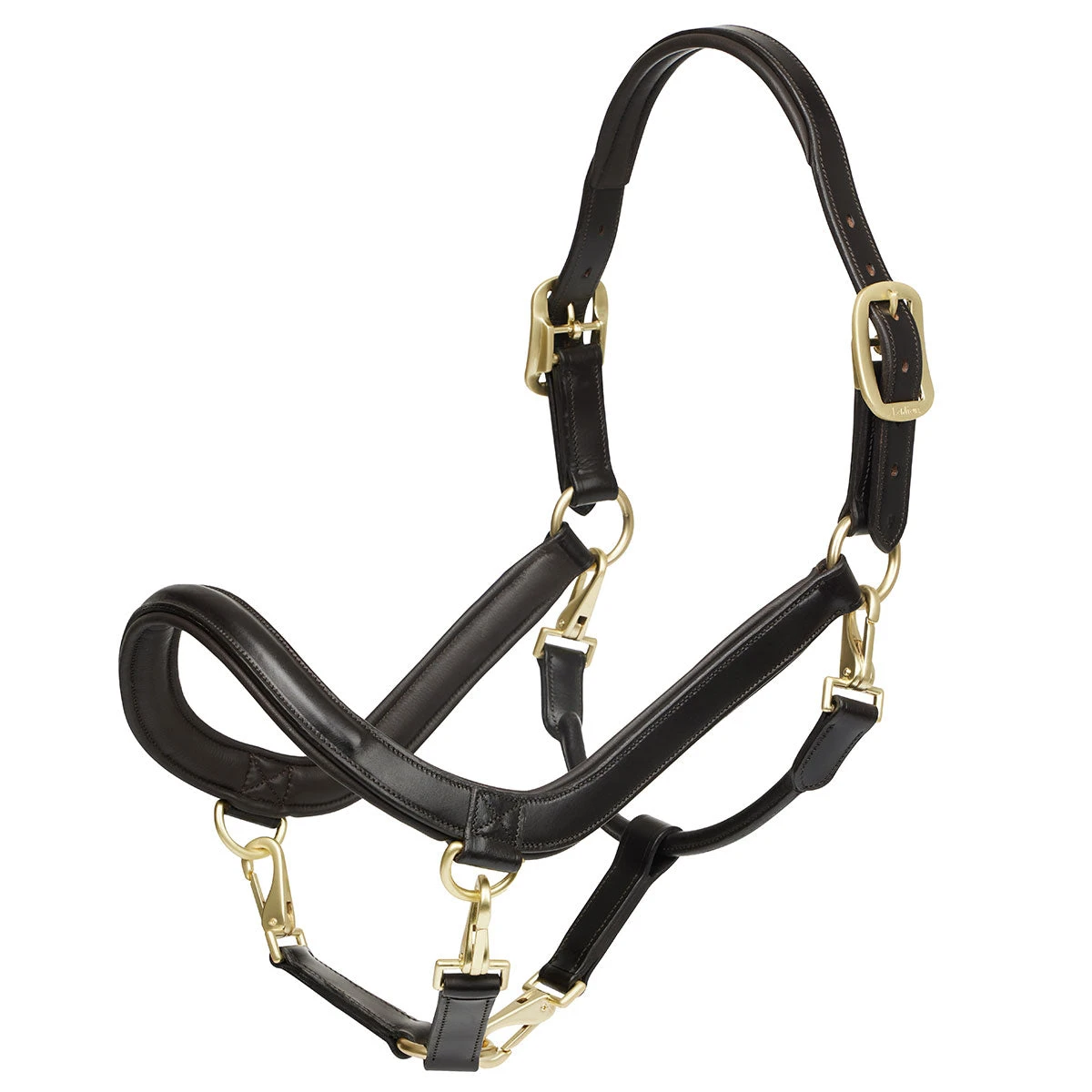 Lemieux LeMeux Leather Grooming Halter 1 Lemieux LeMeux Leather Grooming Halter