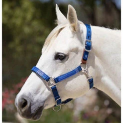 Kensington Breakaway Halter With Padded Nose -Equestrian Equipment Store khsb c1106