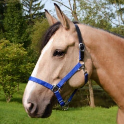 Country Pride Breakaway Nylon Halter -Equestrian Equipment Store ktl1852 c1106