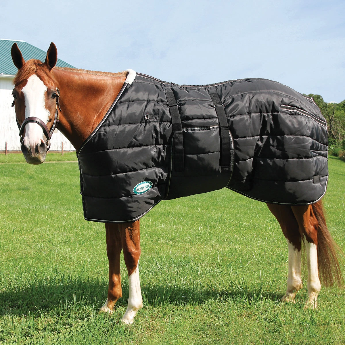 Country Pride Closed Front Midweight Quilted Stable Blanket 2 Country Pride Closed Front Midweight Quilted Stable Blanket - Image 2