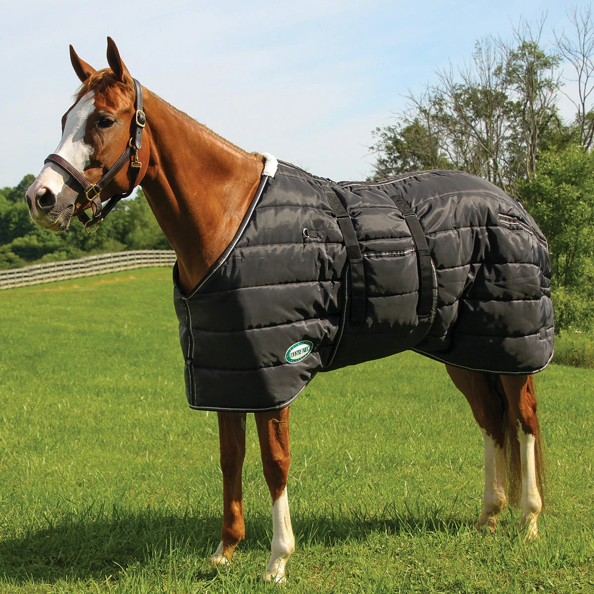 Country Pride Closed Front Midweight Quilted Stable Blanket 1 Country Pride Closed Front Midweight Quilted Stable Blanket