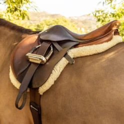 Total Saddle Fit Stability Stirrup Leathers - Regular 9 Total Saddle Fit Stability Stirrup Leathers - Regular -Equestrian Equipment Store tsfstrj20 c1109 alt1